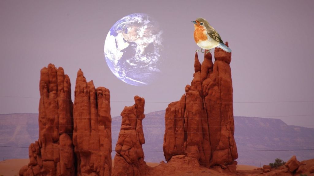 HADİ BANA EYVALLAH!