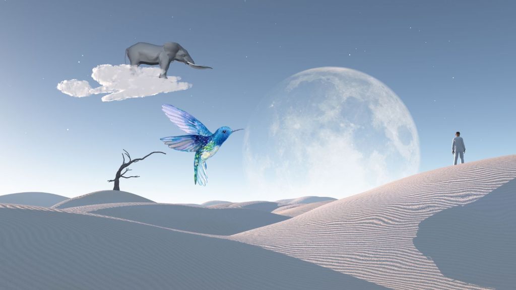 ÇİÇEK ARİF’İN EVİNE KONUK&nbsp;OLMAK